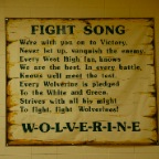 Fight Song